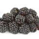 Illustration for article titled RIMs Lifeline: Bringing BlackBerry Security to iOS and Android